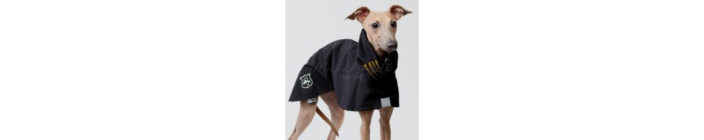 Raincoats for greyhounds