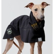 Raincoats