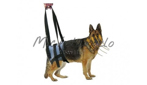 harness for disabled dogs