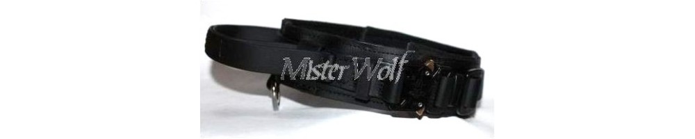 sport dog training collars