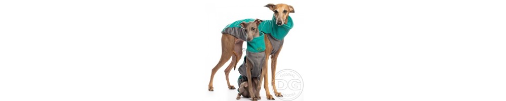 clothing for greyhounds
