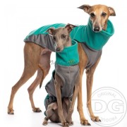 Clothing for greyhound