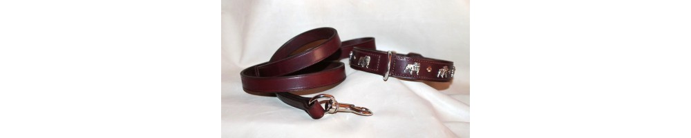 collar for english bulldog