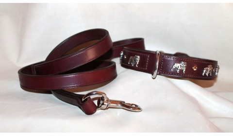 collar for english bulldog