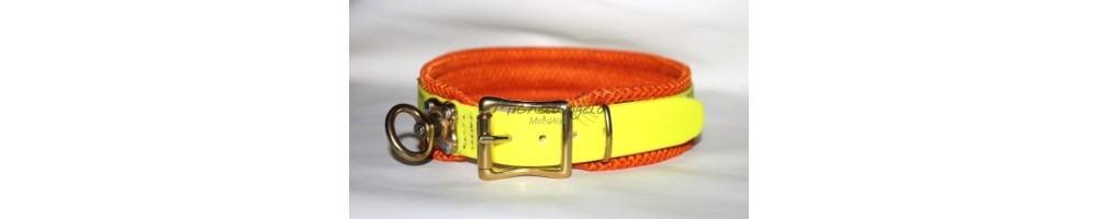 long leash, harnesses collars for track dogs