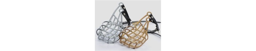 greyhound whippet muzzle