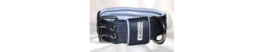 collars and leashes for catching dogs