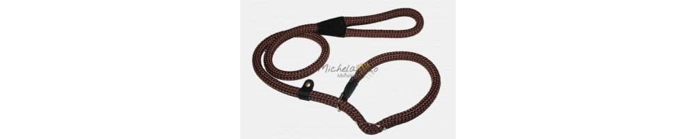 leash with built-in collar for retrievers