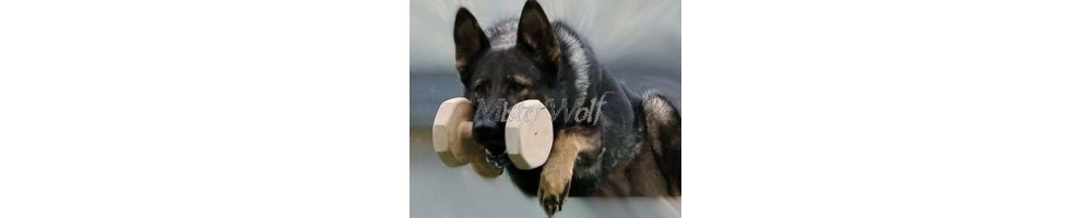 prodotti e accessori per l'addestramento sportivo del cane