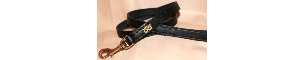 Leash for Staffordshire Bull Terrier