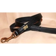 Leash for Staffordshire Bull Terrier