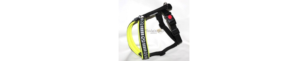 Harness for Staffordshire Bull Terrier