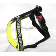 Harness for Staffordshire Bull Terrier