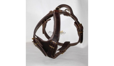 pettorine in cuoio e pelle per cani