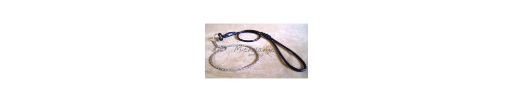 Collar and leash for Dog Show